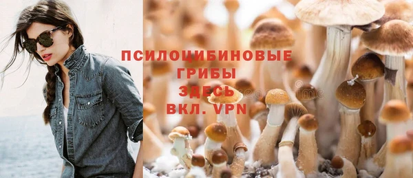 трава Гусиноозёрск