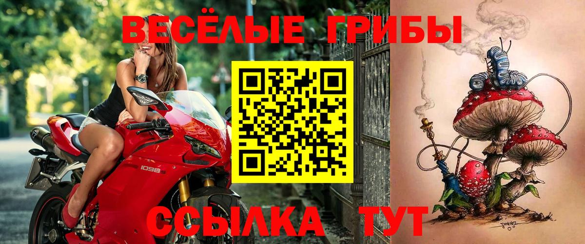 Псилоцибиновые грибы ЛСД  хочу наркоту  Шатура 