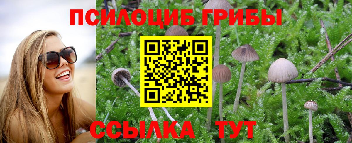 Псилоцибиновые грибы ЛСД  Вход с VPN  Псилоцибиновые грибы мухоморы  Шатура 