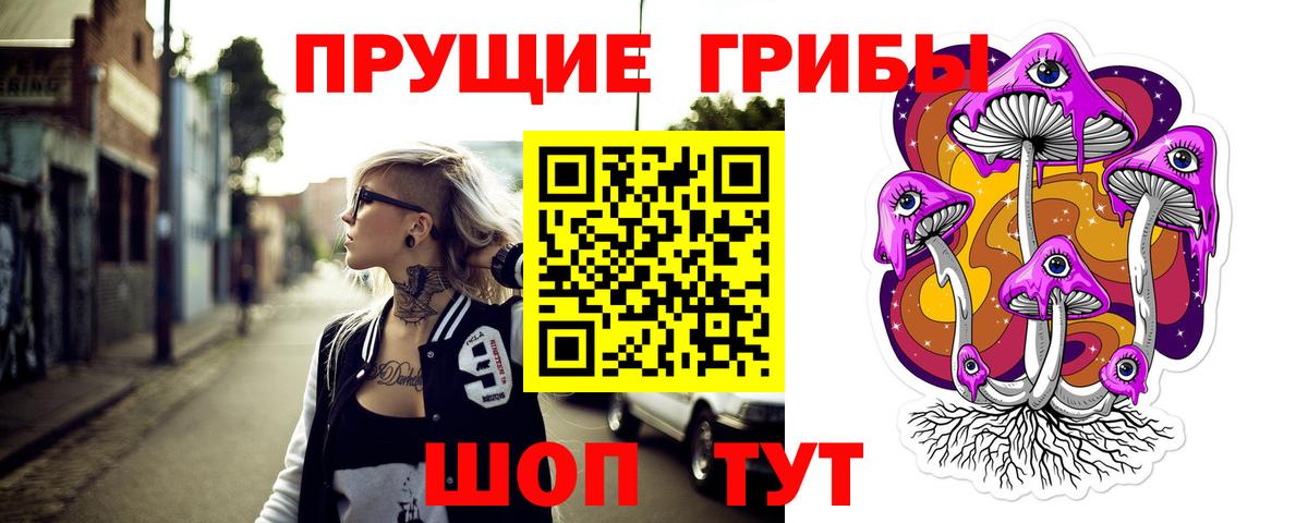 Галлюциногенные грибы Psilocybe Шатура